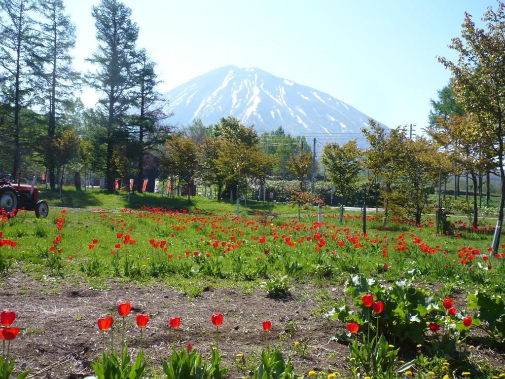 旅馆 Boken Kazoku Kutchan